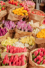 Vibrant spring tulips for sale