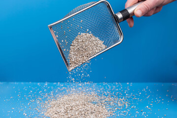 Clumping Cat Litter Scoop on Blue Background. Feline Care Routine: cleaning a cat kitty litter box and adding new absorber granules.