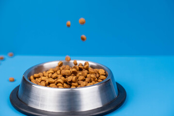 Dry dietary food for cats and dogs in a bowl isolated on solid color background. Healthy pet nutrition and feeding routines.