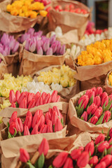Vibrant spring tulips for sale