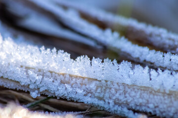 Frost and icy crystals after cold and frosty night show beautiful icy nature with sparkling ice...