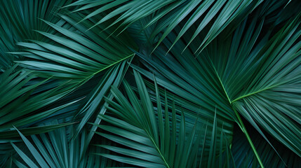 A green leafy plant with many leaves