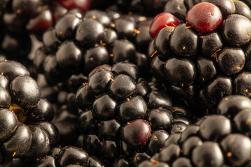 Juicy red blackberries with detailed texture. Close-up of multiple fresh blackberries, showing their glossy surface and intricate natural details.