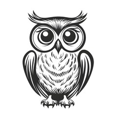 Fototapeta premium Wise Owl Illustration: An intricate black and white illustration of a wise owl, its large eyes and detailed feathers capture the essence of the night.