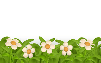 3d green grass border, colorful daisy flower. Chamomile. Vector Illustration