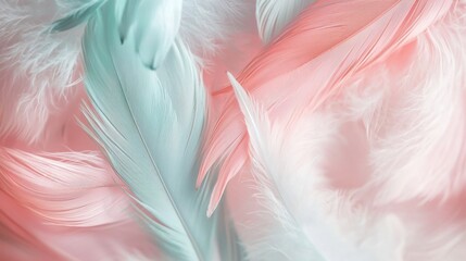 Fototapeta premium Plump soft feathers in shades of pastel blue and pink blend gracefully against a light backdrop, providing a gentle and soothing aesthetic for creative use