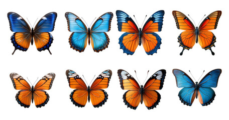 Stunning Collection of Colorful Butterflies with Vibrant Blue and Orange, PNG bundle collection, Isolated on Transparent Background