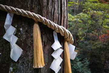 Trilha no Monte Kurama coberta por folhas de outono no Jap&atilde;o