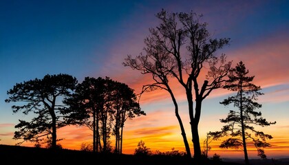 Silhouette of trees against a colorful sunset