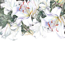mothers day, wedding card with white lilly flowers background, watercolor drawing on the paper