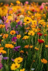 Fototapeta premium Vibrant Wildflower Meadow in Full Bloom with Colorful Petals and Lush Green Background Amidst a Beautiful Natural Landscape