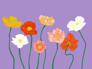 Obraz premium Illustration fleur rouge jaune blanc rose fond violet printemps