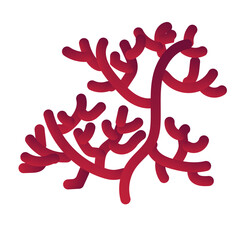 Red coral. Underwater inhabitant. Inhabitant of the ocean floor. Marine animal. Vector illustration isolated on white background.