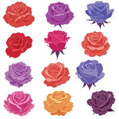 Colorful rose flower collection in flat design style vector art