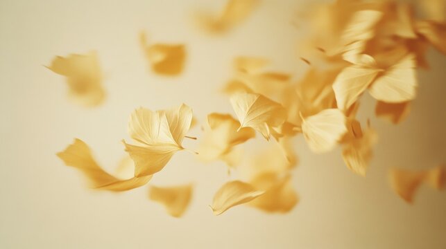 Golden leaves suspended mid-air, gently swirling, create a poetic dance of autumn, captured in a tender moment of nature's grace.
