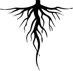 Tree root silhouette icon vector. Taproot and fibrous root system plant, realistic black roots illustrations.
