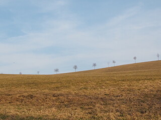 Obraz premium Spring in the meadows, March