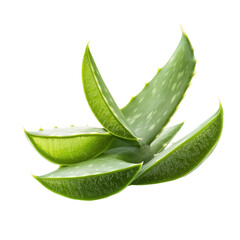 Fresh aloe vera leaves isolated on a white background ready for topical or culinary use, Fresh aloe vera leavesisolated on white background