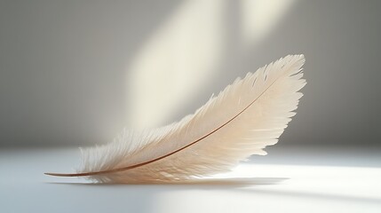Obraz premium Elegant feather quill poised over shimmering ink on a white backdrop with soft lighting