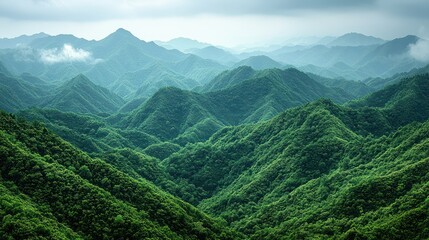 Naklejka premium Serene Panorama of Verdant Mountains