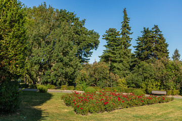 Obraz premium Lush green park with a vibrant rose flowerbed, tall trees, and a wooden bench under a clear blue sky. A domed building is visible in the background through the foliage. 