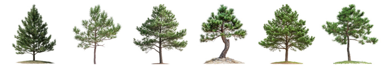 Various Types of Green Trees with Different Shapes and Sizes, PNG bundle collection, Isolated on Transparent Background