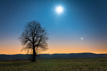 Night landscape, conjunction of the moon and the planet Jupiter, one tree against the stars in the mountains. Long exposure of the night sky.
