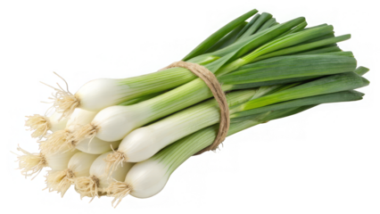 Fresh leeks isolated on a transparent background.