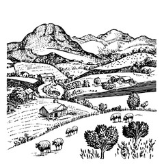 Naklejka premium Engraved illustration of a serene countryside landscape with grazing sheep and rolling hills captured in detailed vector art