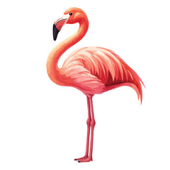 pink flamingo on white background
