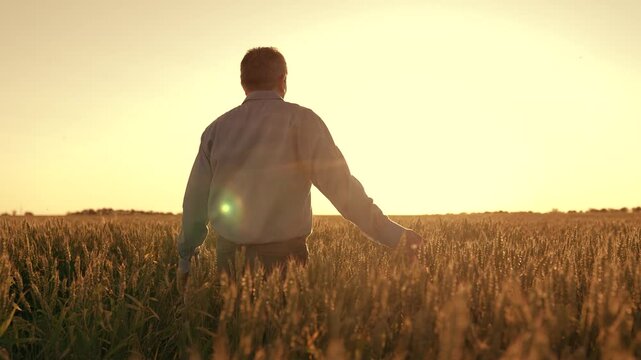 Experience Golden Harvest Join our community dedicated wheat farmers who bring you finest quality wheat, handpicked with care. Our skilled agronomists agriculturists inspect each ripe ear, ensuring