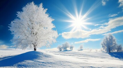 Obraz premium Beautiful Natural Snowdrift in a Sunny Day Landscape