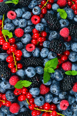 Blackberry, raspberry, blueberry,  red currant and mint background.