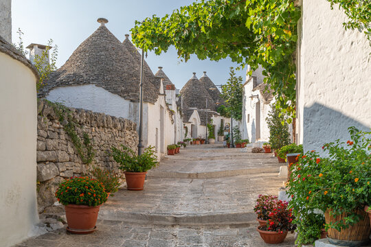 Rue pentue au milieu des trulli, sur le Rione Monti, &agrave; la lumi&egrave;re douce du lever du soleil d'&eacute;t&eacute;, &agrave; Alberobello, ville au patrimoine mondial de l'UNESCO, dans les Pouilles, Italie