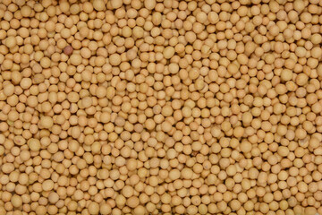 A close-up, top-down shot of a pile of dry soybeans filling the frame