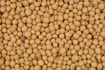 A close-up, top-down shot of a pile of dry soybeans filling the frame