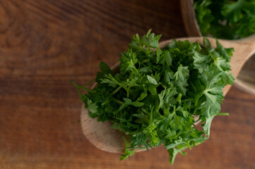 Freshly chopped parsley leaves on a wooden spoon on a brown kitchen board background. Concept of aromatic herbs for cooking. Cilantro leaves, dried garden parsley.