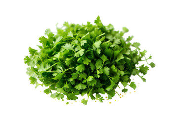 Obraz premium Fresh cilantro harvest urban garden food photography natural light close-up culinary delight, isolated on white or transparent background