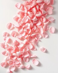 Obraz premium Delicate Pink Petals Spread Across a White Surface