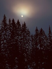 Evening winter hike. Mistberget mountain. 