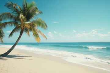 Fototapeta premium Scenic Tropical Beach with Palm Tree and Blue Sky Serenity