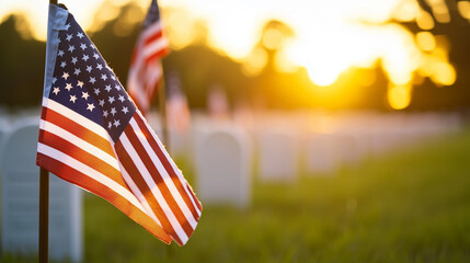 Veterans salute in a serene cemetery at sunset with American flags