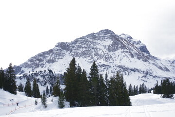 Wintercamp