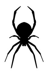 Austrailan spider Silhouette