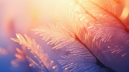 The image shows a close up of a pine tree branch covered in frost