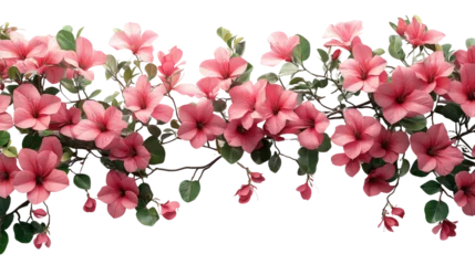 Gordijnen Floral Garland: a stunning close-up of delicate pink azalea blossoms and lush green foliage. cascading along the garland, creating a vibrant display of floral elegance. © yeewa