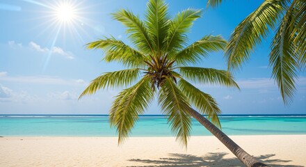 Fototapeta premium Tropical palm tree with vibrant green leaves under a bright sun against a serene turquoise ocean and sandy beach