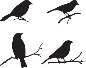 A set of four bird silhouettes perched on tree branches. This artwork is digitally enhanced using AI and manually edited for quality.