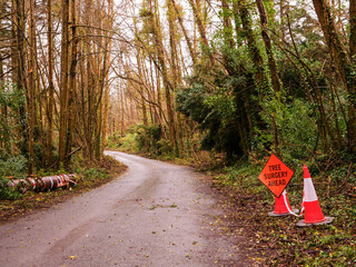 Tree surgery sign ahead and warning cone by a small narrow road in a forest park.