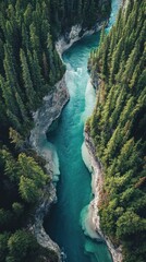 A vivid turquoise river flowing through a lush green forest canyon